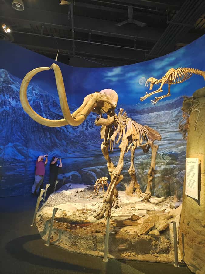 Badlands Tour: Drumheller with Museum, Hoodoos & Coal Mine - Atlas Coal Mine: worth the extra admission?