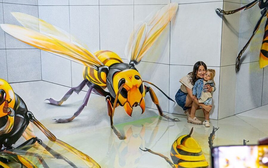 Barcelona – Big Fun Museum & Museum of Illusions Experience - Believe It or Not and the Food Art room