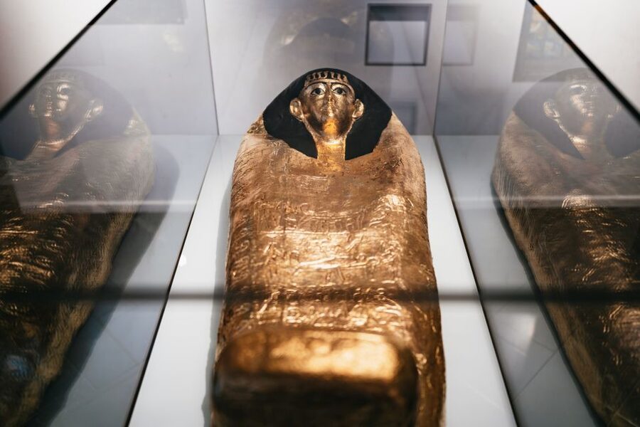 Barcelona Egyptian Museum Tickets - Practical details for families and access needs