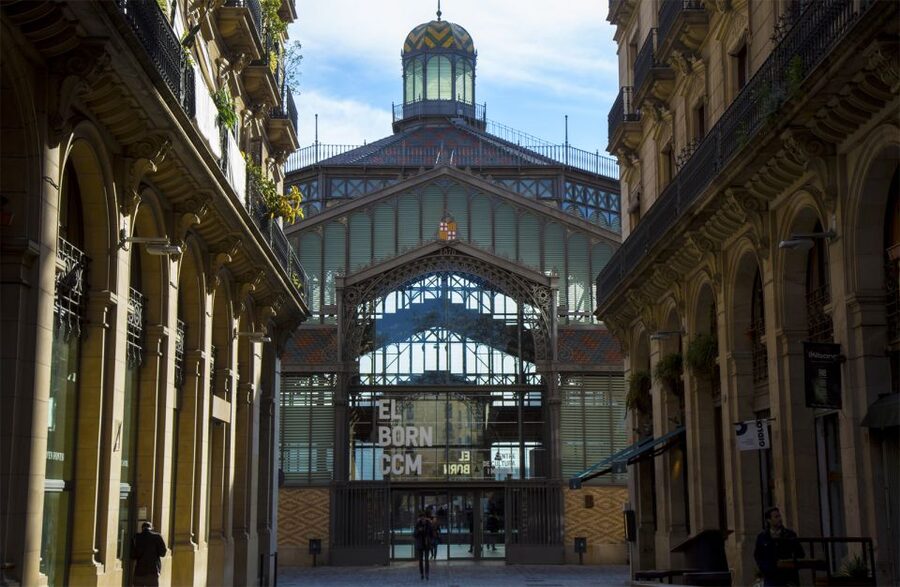 Barcelona: Picasso Museum Guided Tour - Following Picasso from Barcelona youth to later periods