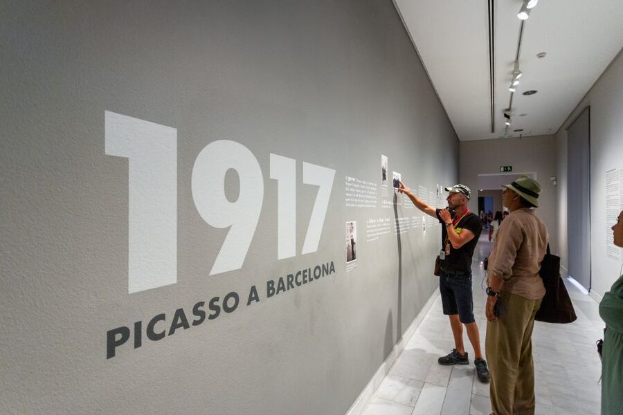 Barcelona: Picasso Museum Skip-the-Line Guided Tour - Skip-the-line entry and the value of 90 minutes