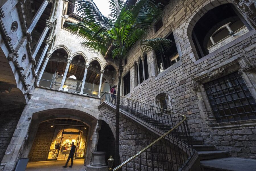 Barcelona: Picasso's Barcelona & Picasso Museum Walking Tour - Who will enjoy this Picasso tour most?