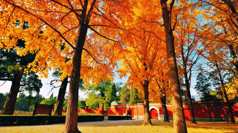 Beijing: JingShan park (palace museum garden) entry ticket - Why Jingshan Park makes a smart Beijing stop