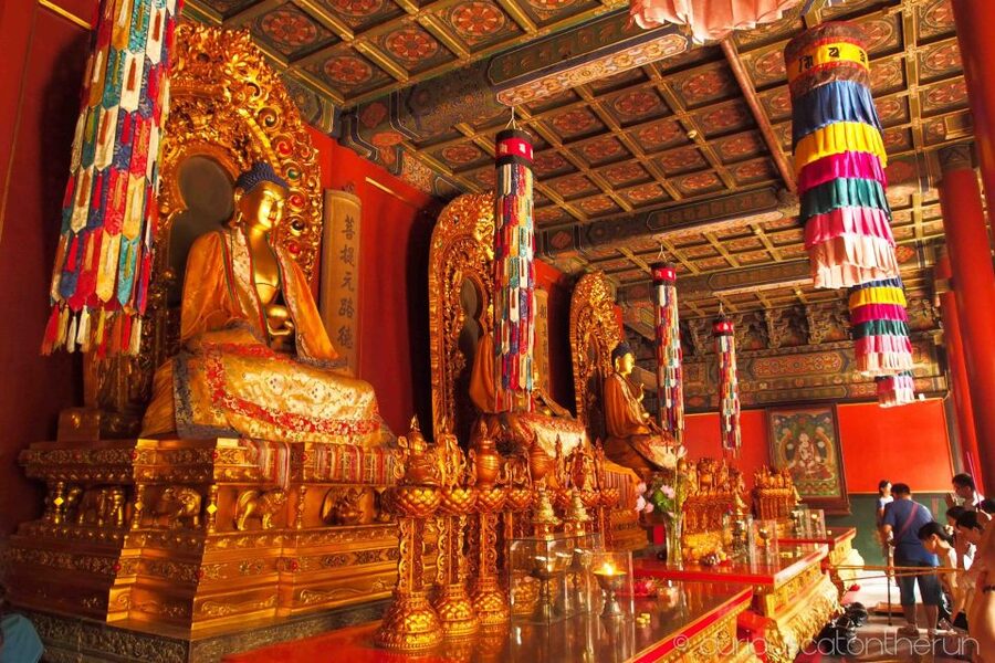 Beijing: Lama Temple, Confucius Temple and Guozijian Museum - Key points at a glance