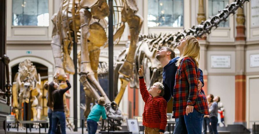 Berlin: Natural History Museum Entrance Ticket - Why the Dinosaur Hall earns the first look