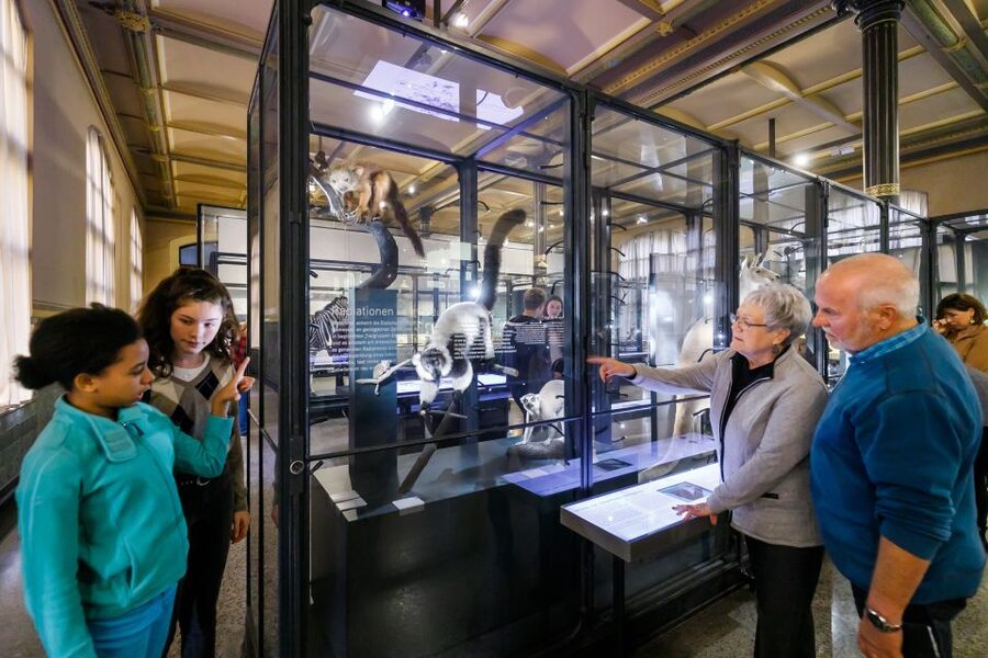 Berlin: Natural History Museum Entrance Ticket - The wet collection reveals the museum’s working side