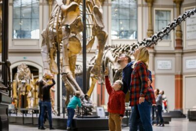 Natural History Museum Entrance Ticket