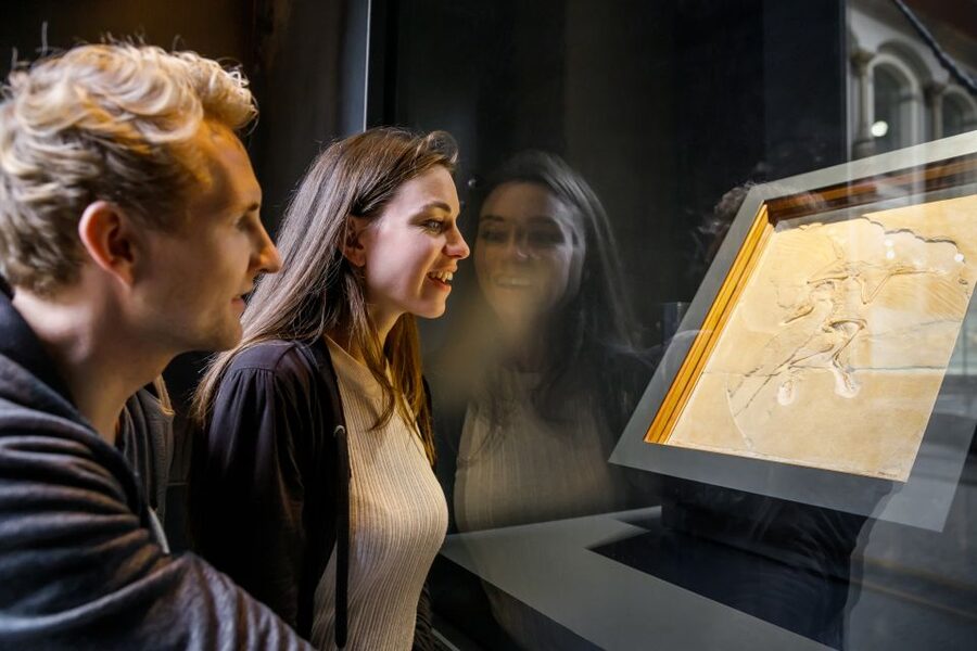 Berlin: Natural History Museum Entrance Ticket - Tickets, audio, and the practical details