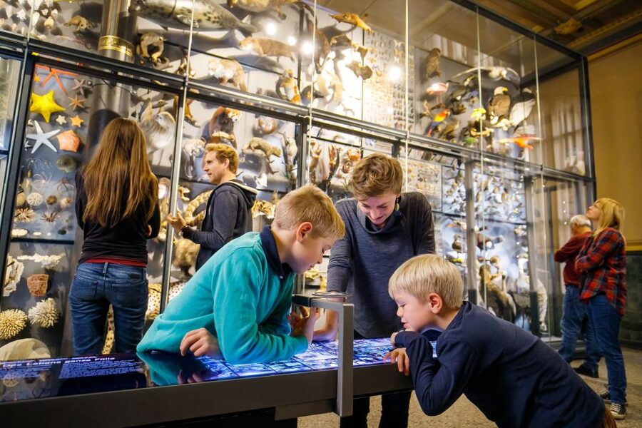 Berlin: Natural History Museum Entrance Ticket - Who will enjoy this museum most?