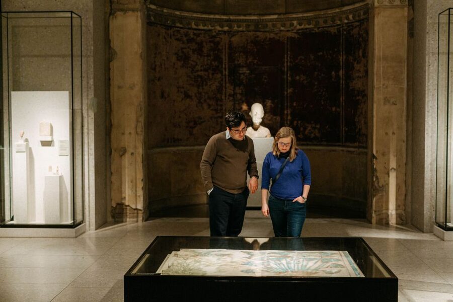 Berlin: Neues Museum Entry Ticket - Who will get the most from this ticket?