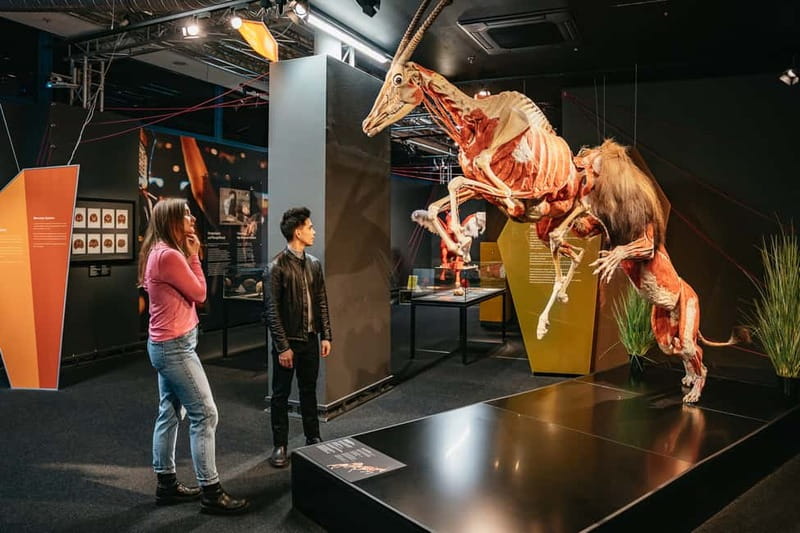 Berlin: Tickets for the BODY WORLDS Museum in Berlin - Key points to know before you go