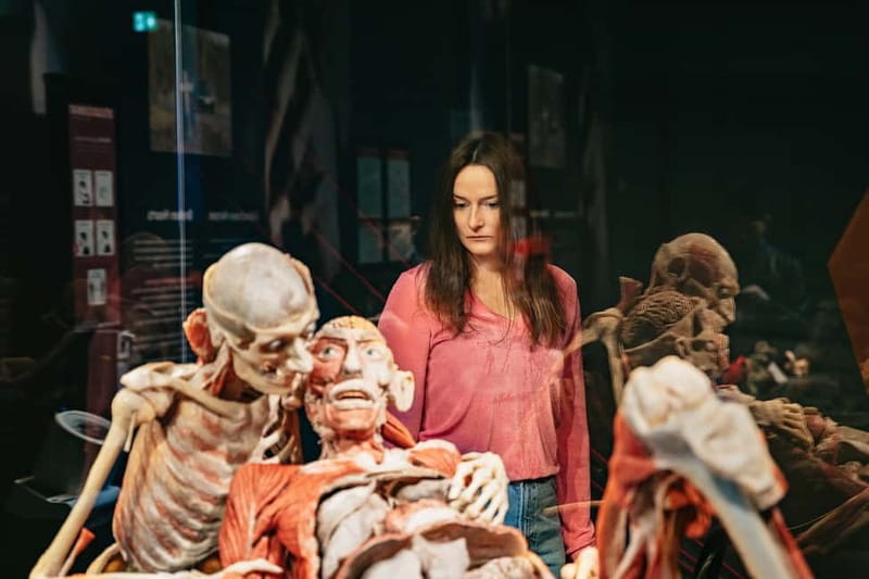 Berlin: Tickets for the BODY WORLDS Museum in Berlin - Who will enjoy it, and who may not