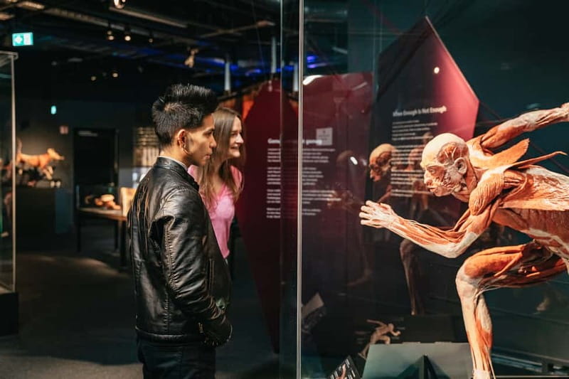 Berlin: Tickets for the BODY WORLDS Museum in Berlin - Organs, disease, and the body’s fragile balance