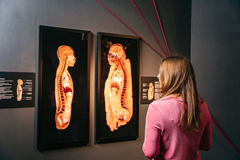 Berlin: Tickets for the BODY WORLDS Museum in Berlin - How long to spend inside