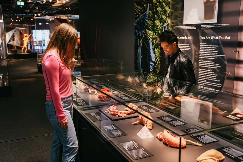 Berlin: Tickets for the BODY WORLDS Museum in Berlin - Starting with the skeleton and muscular system