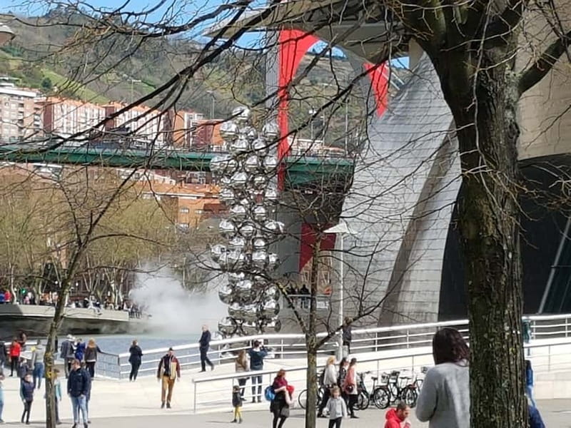 Bilbao: Guggenheim Bilbao museum in spanish Ticket included - Who Should Choose Another Option