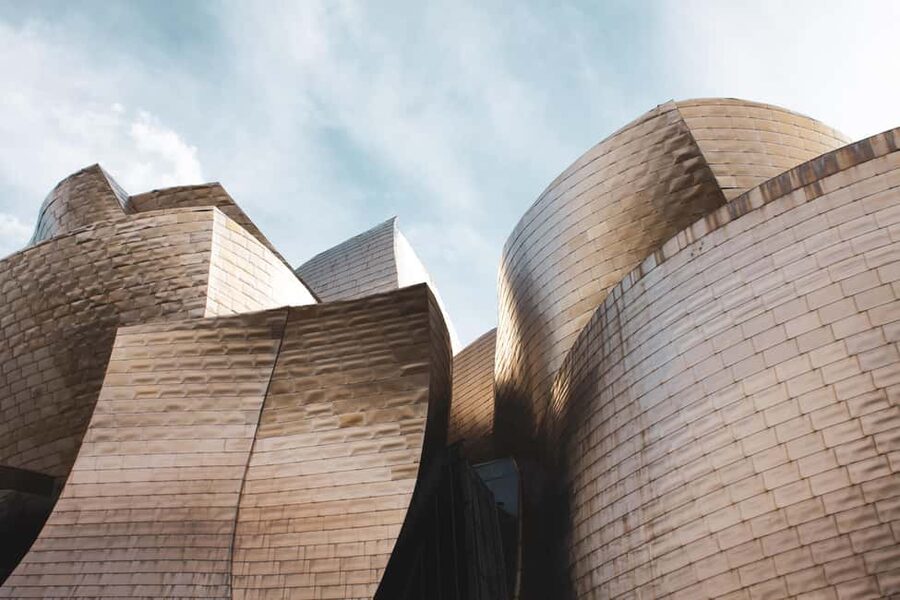Bilbao: Guggenheim Museum Tour with Skip-the-Line Tickets - Accessibility and Practical Comfort