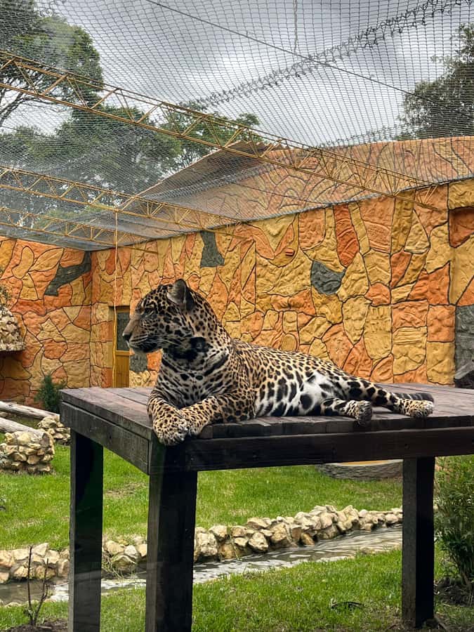 BOGOTA: Tour of Jaime Duque Park, Zoo, and Aerospace Museum - Wakatá Biopark and the animal areas