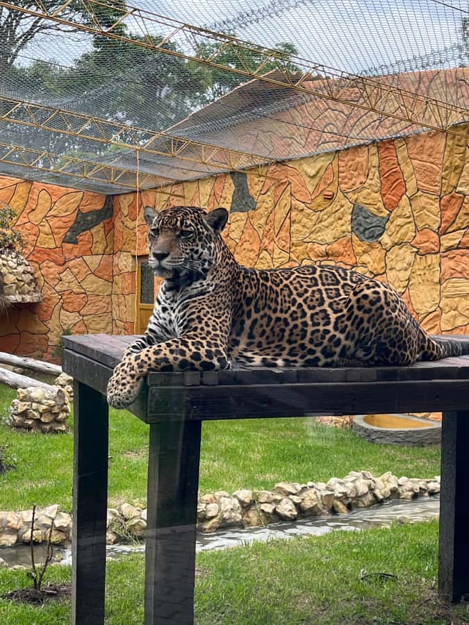 BOGOTA: Tour of Jaime Duque Park, Zoo, and Aerospace Museum - The Aerospace Museum and the importance of checking ahead