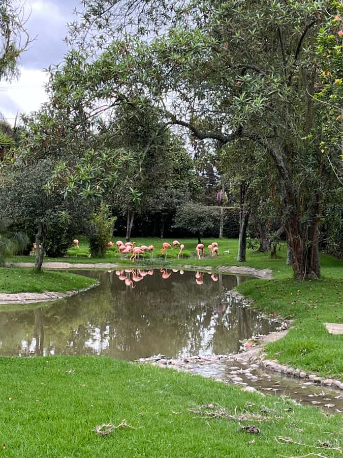 BOGOTA: Tour of Jaime Duque Park, Zoo, and Aerospace Museum - Entering the Medieval Castle