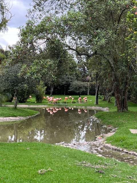 BOGOTA: Tour of Jaime Duque Park, Zoo, and Aerospace Museum - Theater shows and all-ages entertainment