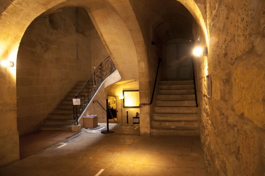 Bordeaux: Wine and Trade Museum Entry Ticket & Wine Tasting - The Vineyard Presentation Explains Bordeaux’s Vocabulary