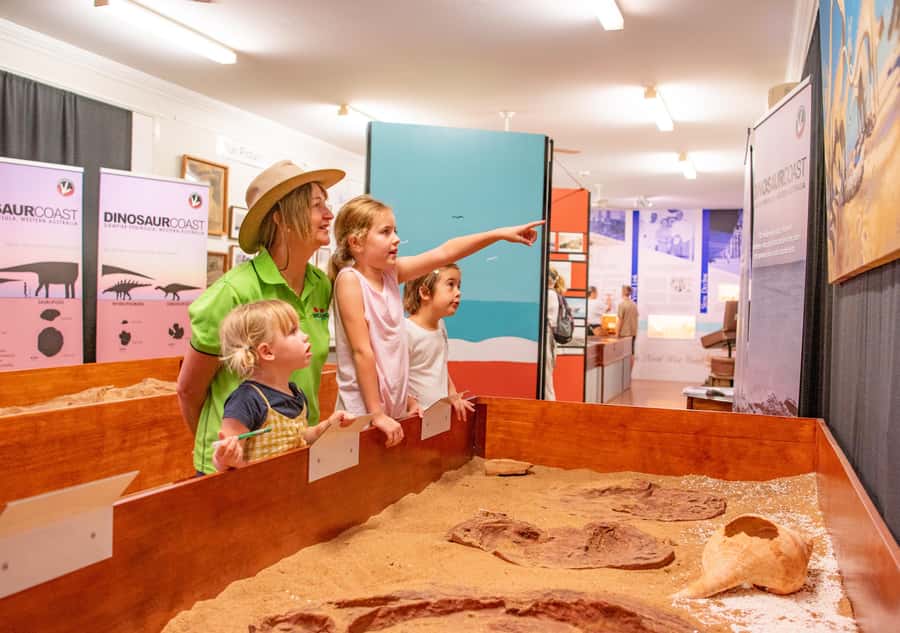 Broome: Matso's Brewery, Museum & Crocodile Park Combo Tour - Malcolm Douglas Crocodile Park is the big finish