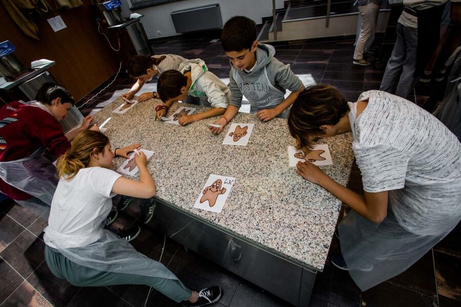 Bruges: Chocolate Making Workshop and Chocolate Museum Entry - Key points to know