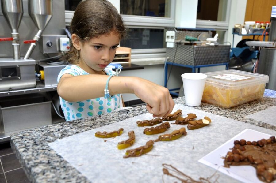 Bruges: Chocolate Making Workshop and Chocolate Museum Entry - What the one-hour Bruges chocolate experience is really like