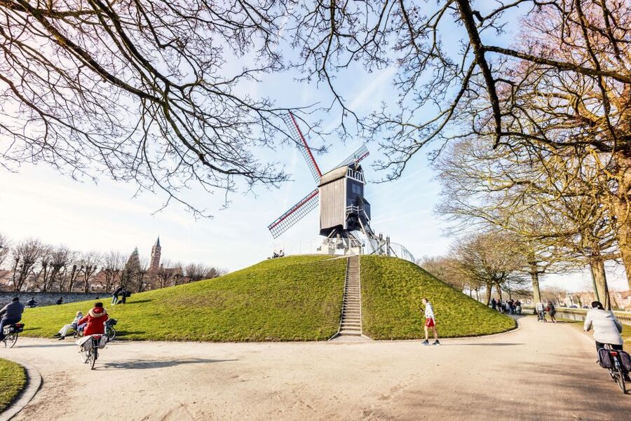 Bruges: Musea Brugge Card with Entry to 11 Museums - Key points to know before you buy