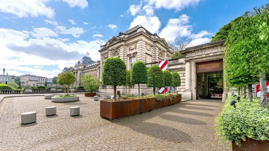 Brussels: BELvue Belgium History Museum Entry Ticket - Should You Book the BELvue Museum Ticket?