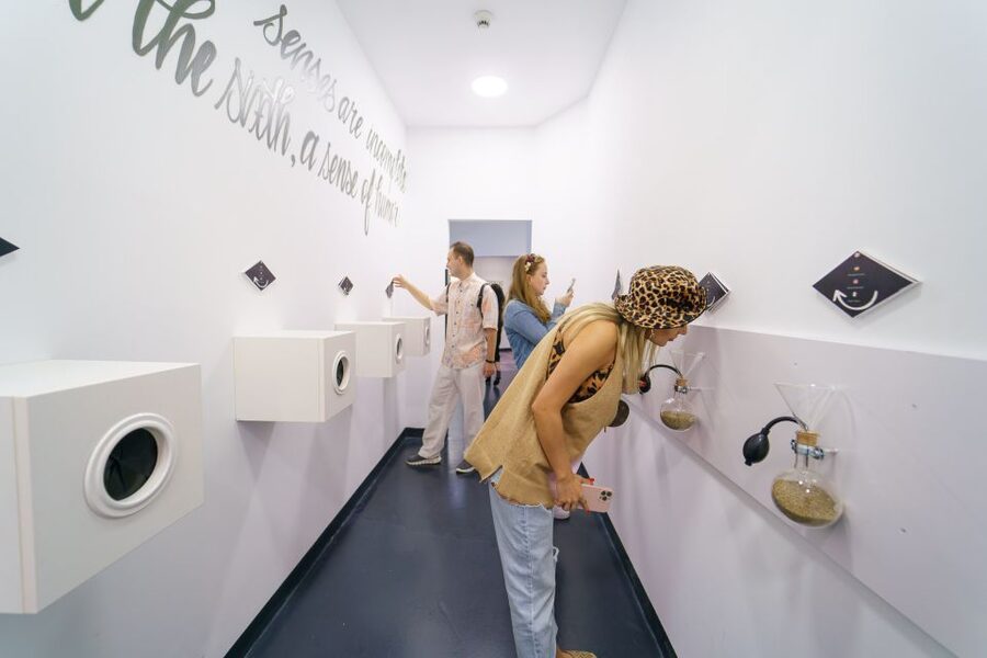 Bucharest: Museum of Senses Entry Ticket - VR Rides and Hands-On Moments