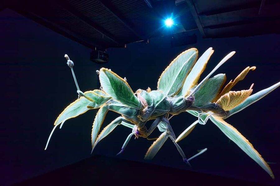 Budapest: Light Art Museum Skip-the-Line Entry Ticket - How much value do you get for $21?