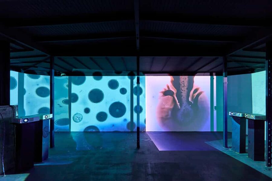 Budapest: Light Art Museum Skip-the-Line Entry Ticket - Practical advice for a smoother visit