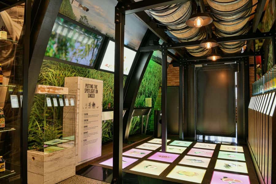 Bundaberg: Brew Tasting and Self-Guided Gallery Tour - What the experience gets right