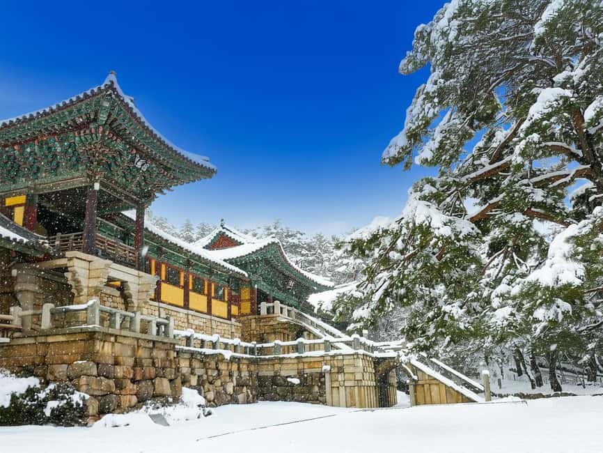 Busan: Gyeongju UNESCO Legacy Tour with National Museum - Lunch and Dalmaji-gil keep the day flexible