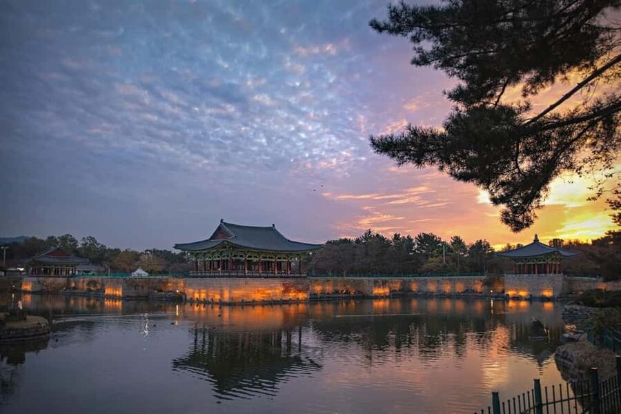 Busan: Gyeongju UNESCO Legacy Tour with National Museum - Ahopsan Bamboo Forest gives the morning a quiet start