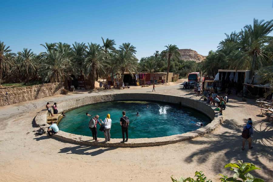 Cairo: 3-Day Siwa Oasis Tour, Safari, Camp & Historical Site - Key points to know before you book