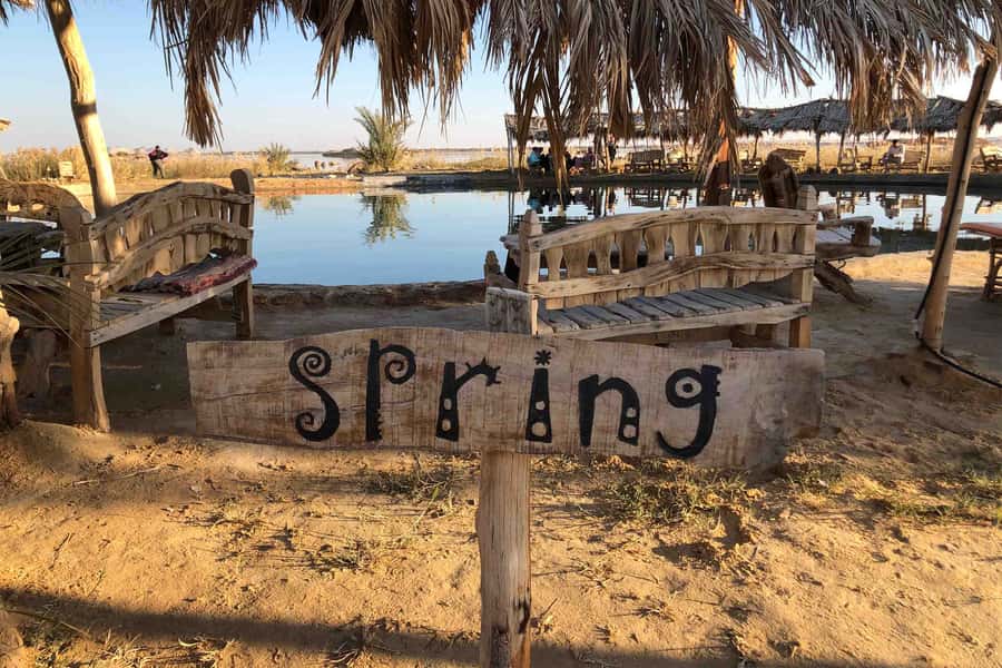 Cairo: 3-Day Siwa Oasis Tour, Safari, Camp & Historical Site - Shali City and the old souq