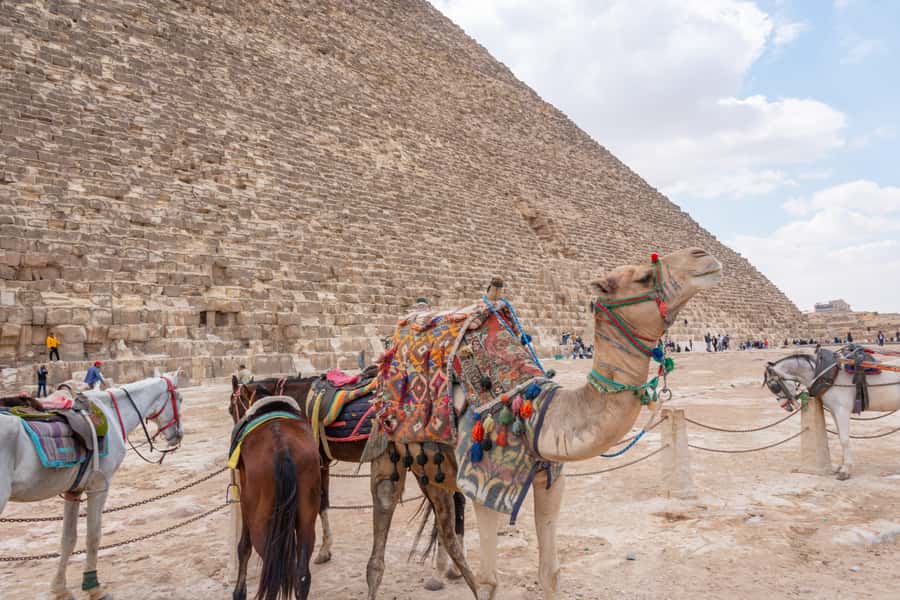 Cairo: Giza Pyramids, Museum & Tahrir Square Private Tour. - Tahrir Square and Cairo’s modern story