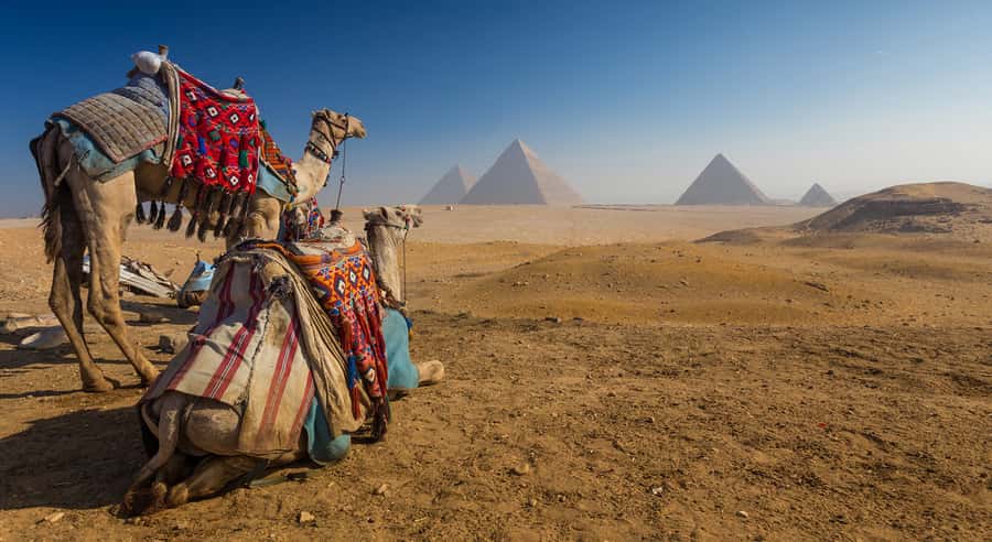 Cairo: Great Pyramids of Giza and Egyptian Museum Tour - The Valley Temple of Khafre