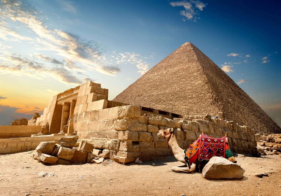 Cairo: Great Pyramids of Giza and Egyptian Museum Tour - The Egyptian Museum and its ancient treasures