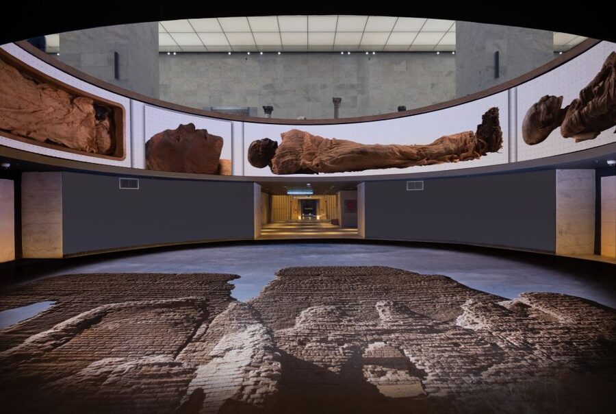 Cairo: National Museum of Egypt Skip-the-Line QR Ticket - Who will appreciate this experience most