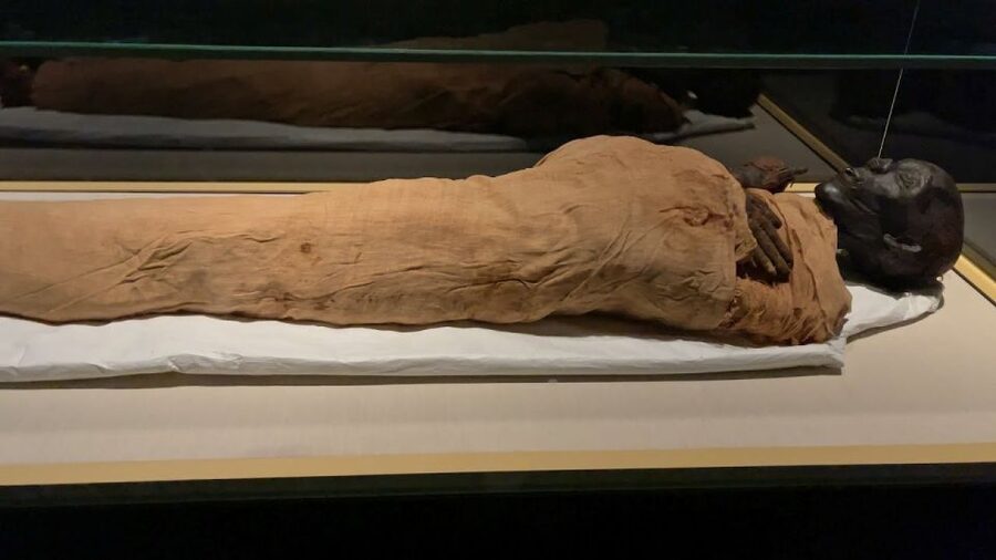 Cairo: National Museum of Egypt Skip-the-Line QR Ticket - The Royal Mummies Hall is the main reason to go