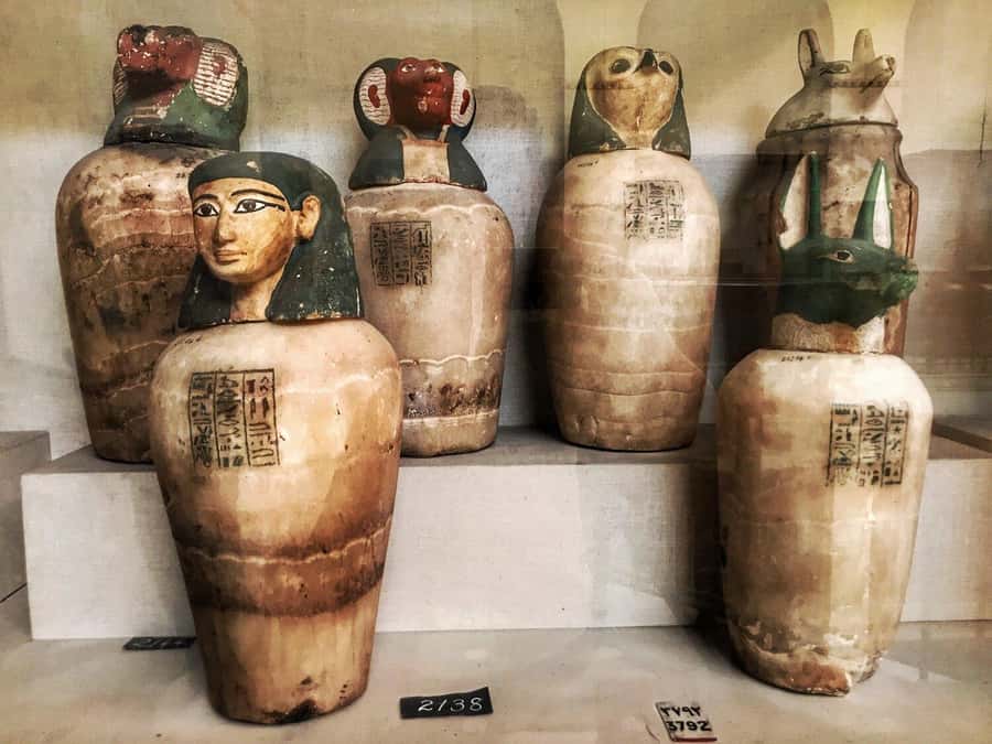 Cairo Tour To Egyptian Museum, Citadel & Khan Khalili Bazaar - Who should book this Cairo day?