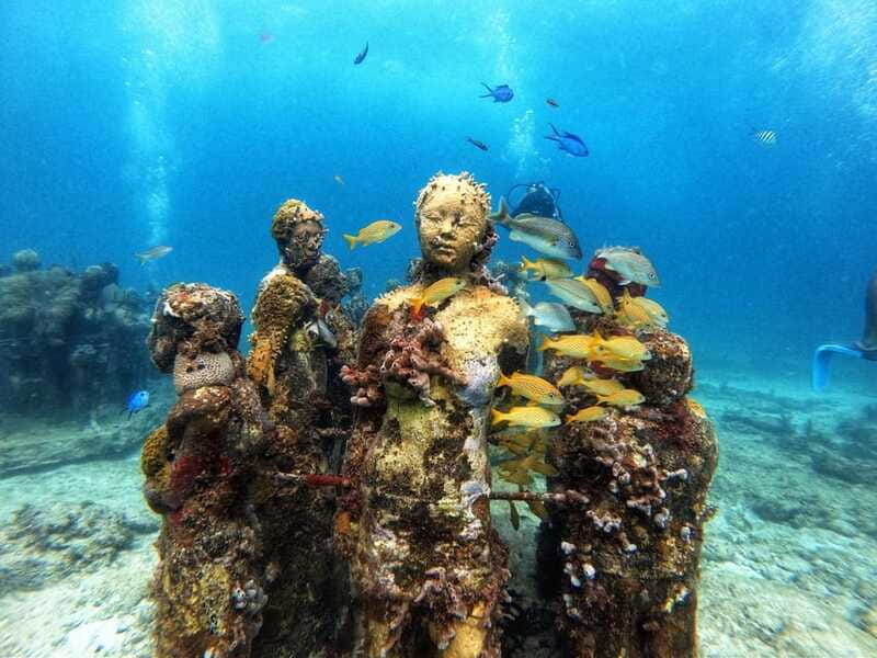 Cancun: Musa Underwater Museum & Reef Discover Scuba Diving - Who should book this Cancun scuba experience?