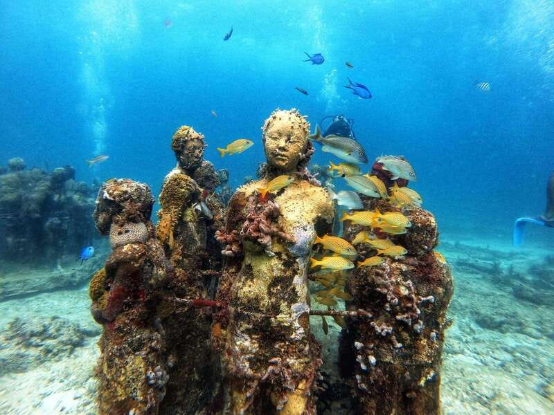 Cancun: Musa Underwater Museum & Reef Discover Scuba Diving - The 105-minute lesson that makes beginners feel ready