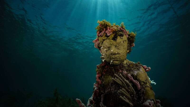 Cancun: Snorkeling Tour at MUSA The Underwater Museum - Why MUSA feels different from a standard reef trip