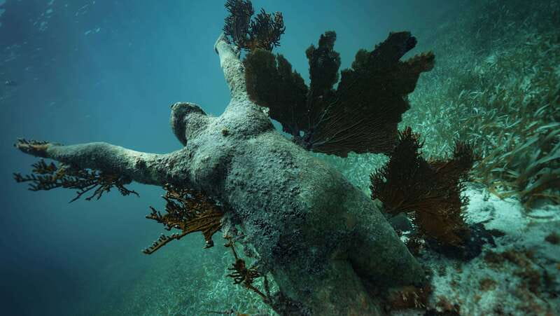 Cancun: Snorkeling Tour at MUSA The Underwater Museum - Manchones Reef brings the sea life closer