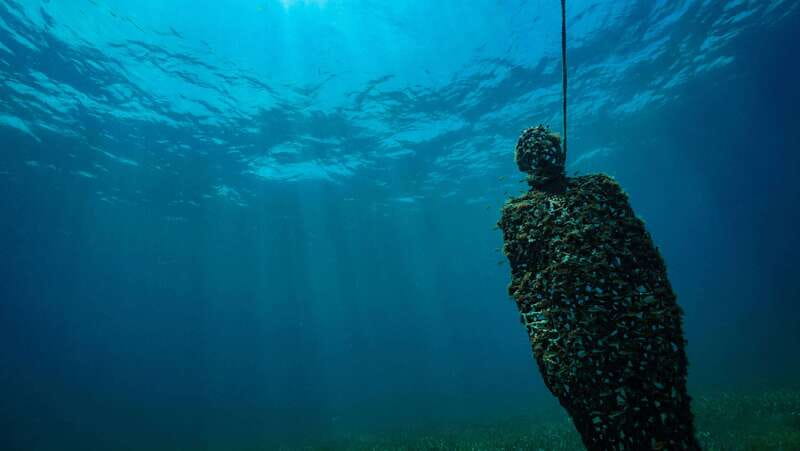 Cancun: Snorkeling Tour at MUSA The Underwater Museum - How much the $58 price really buys you